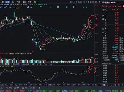 bqxscbl复制-爱游戏